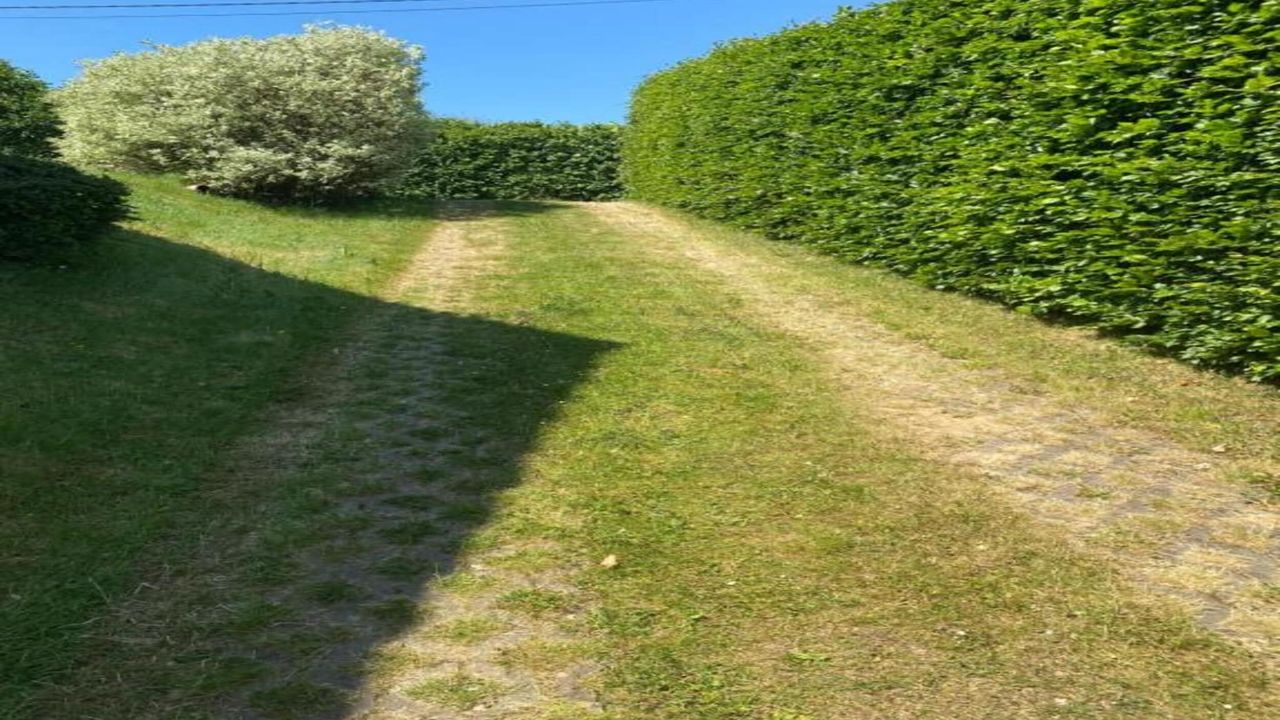 AreaSummer20KM AreaSummer20KM